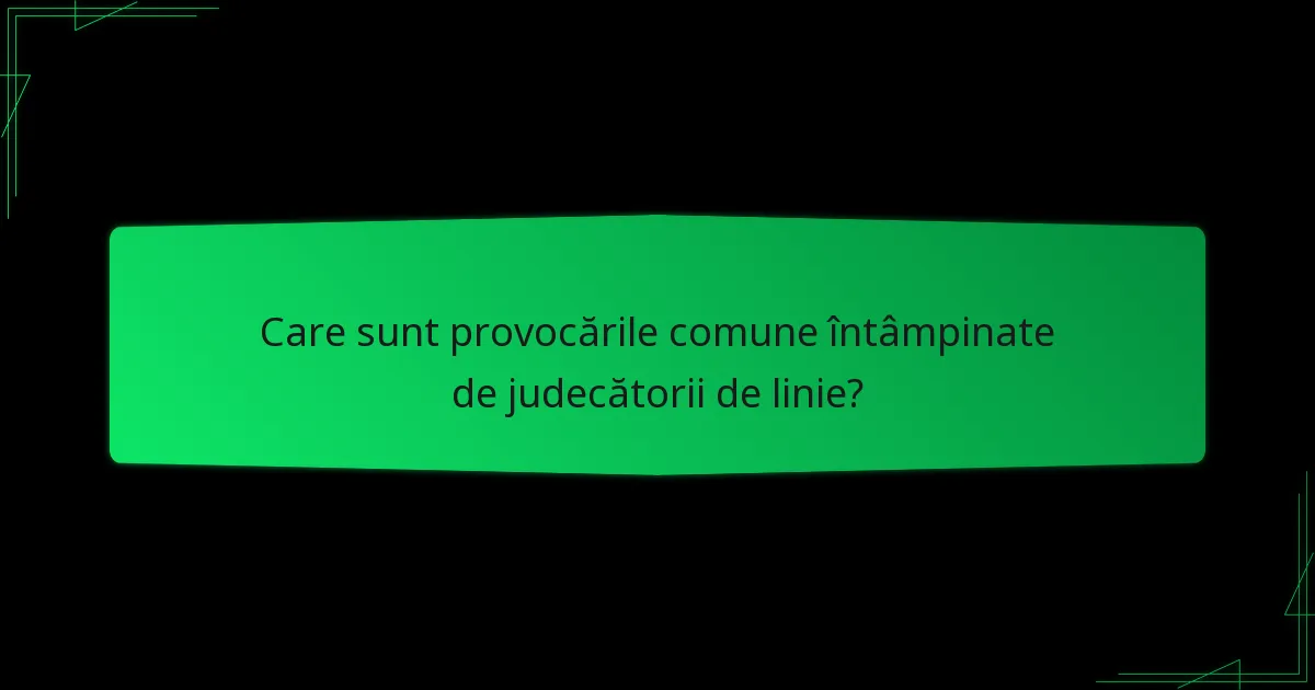 Care sunt provocările comune întâmpinate de judecătorii de linie?