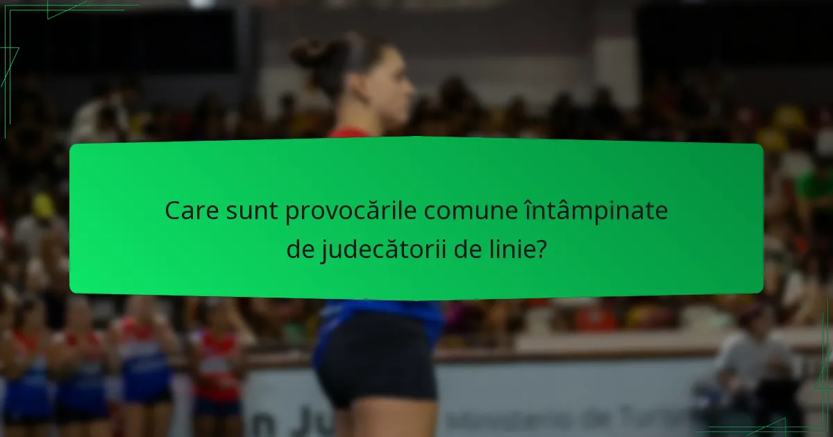Care sunt provocările comune întâmpinate de judecătorii de linie?