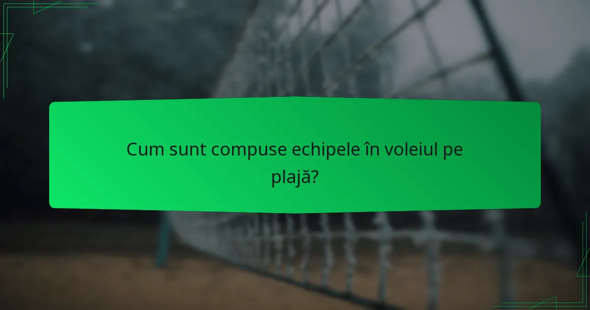 Cum sunt compuse echipele în voleiul pe plajă?