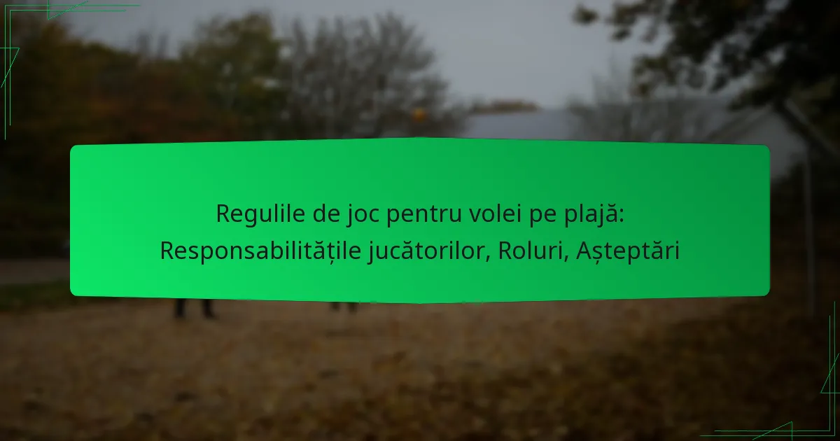 Regulile de joc pentru volei pe plajă: Responsabilitățile jucătorilor, Roluri, Așteptări